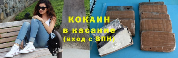шишки Аркадак