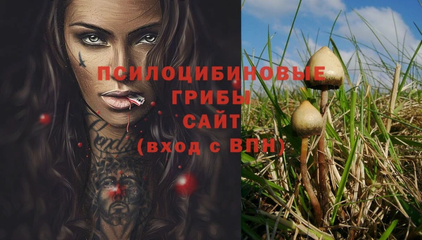 шишки Аркадак