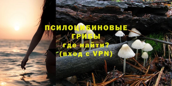 каннабис Арсеньев