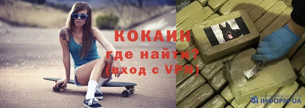 шишки Аркадак